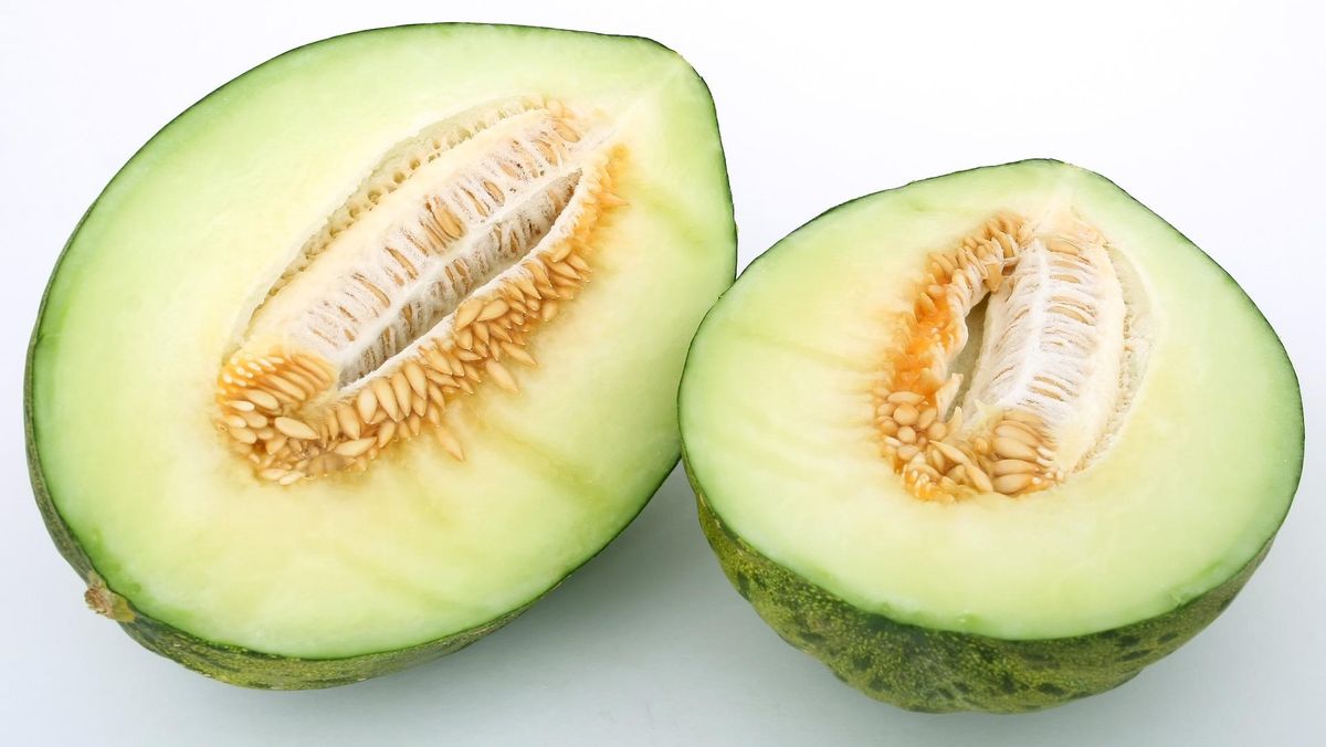 Melon