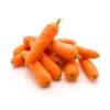 Carrot - Image 2